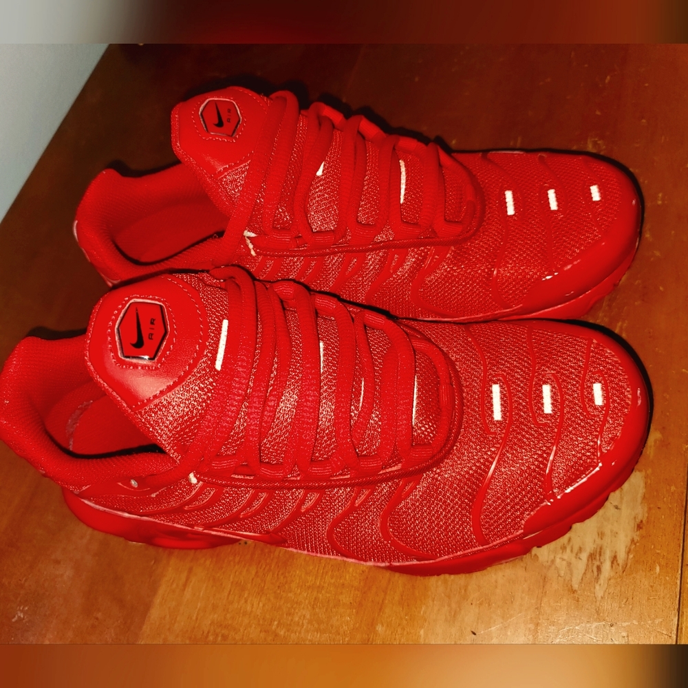 Nike Air Max TN (Tuned Air)